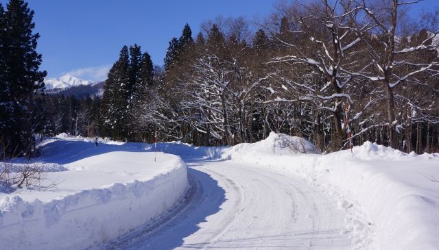 雪道を走る時にはどんな車がいい？ 4WDが安心だがFFでもいけるらしい…。
